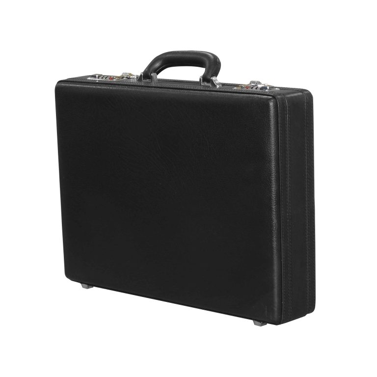 آکاردئونی فرانسه لپ تاپی